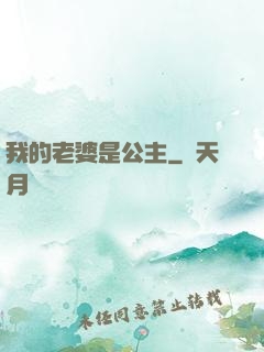 我的老婆是公主
