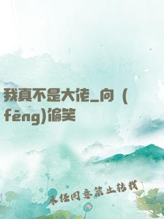 我真不是大佬