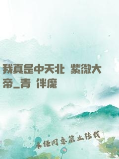我真是中天北極紫微大帝