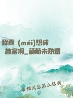 我真沒(méi)想成為首富啊
