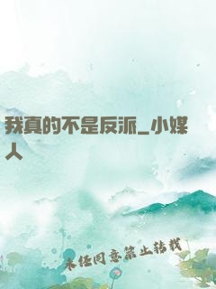 我真的不是反派