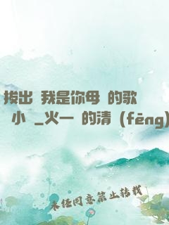 拔出來我是你母親的歌詞小說