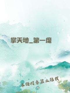 掌天地
