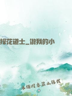 探花道士