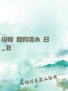 攻略總裁的流水賬日記