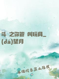 斗羅之你管這叫玩具