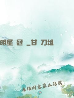 明星總冠軍