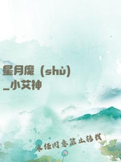 星月魔術(shù)師