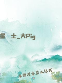 星靈騎士
