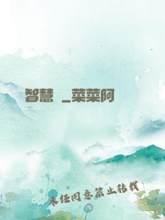 智慧書
