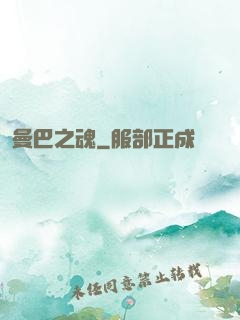 曼巴之魂