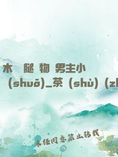 木馬雙腿墜物雙男主小說(shuō)