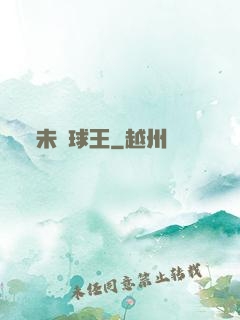 未來球王