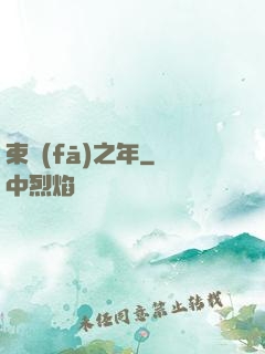 束發(fā)之年