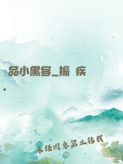 極品小黑客