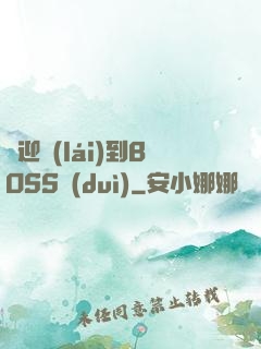 歡迎來(lái)到BOSS隊(duì)