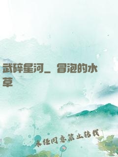 武碎星河