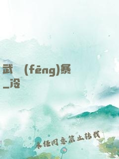 武裝風(fēng)暴