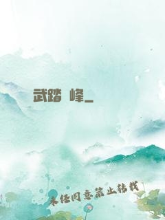 武踏巔峰