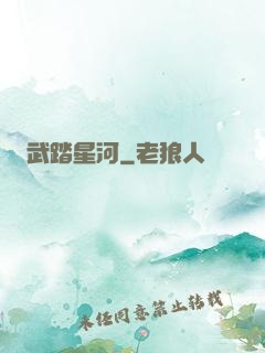 武踏星河