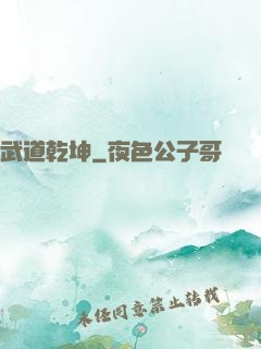 武道乾坤