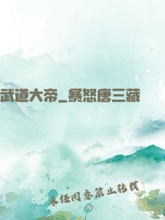 武道大帝