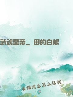 武魂圣帝