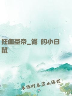 狂血圣帝