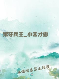 狼牙兵王