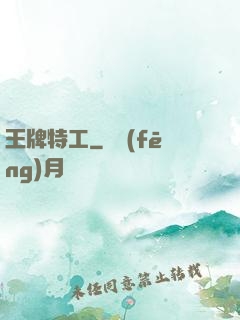 王牌特工