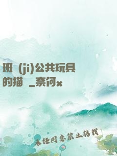班級(jí)公共玩具的描寫