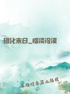 磁化末日