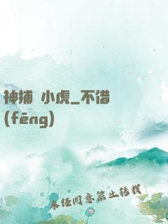 神捕聶小虎