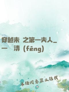 穿越未來之第一夫人