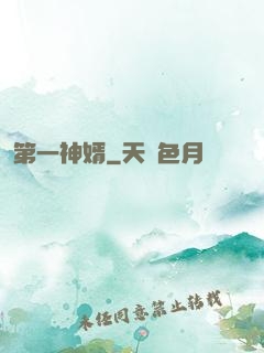 第一神婿