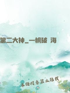 第二大神