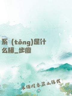 系統(tǒng)是什么桶