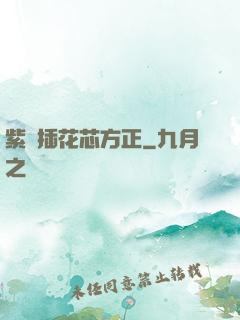 紫龍插花芯方正
