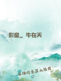 終極影皇