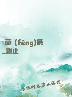 綠茵風(fēng)暴