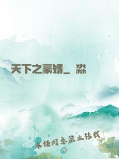 縱橫天下之豪婿