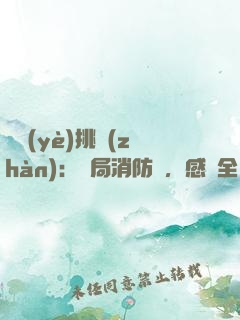 職業(yè)挑戰(zhàn)：開局消防員，感動全網(wǎng)