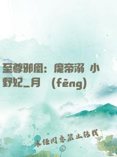 至尊邪凰：魔帝溺寵小野妃