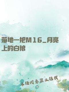 落地一把M16