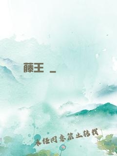 藤王國