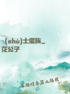 術(shù)士皇族