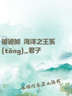 被迫加載海洋之王系統(tǒng)