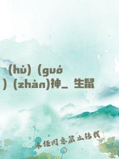 護(hù)國(guó)戰(zhàn)神