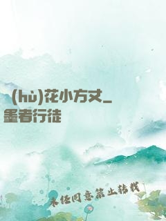 護(hù)花小方丈