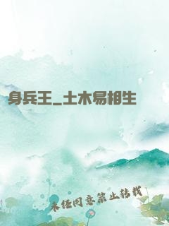 貼身兵王